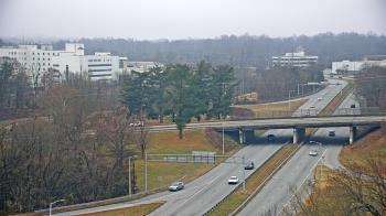 Weather camera view of The Proximity Hotel.