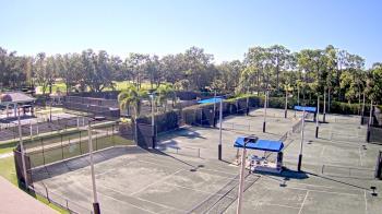 Weather camera view of Grey Oaks Country Club.