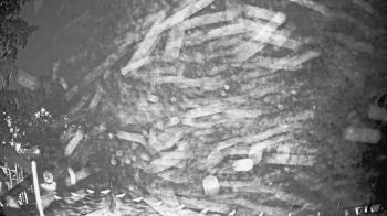 Weather camera view of Houston Country Club.