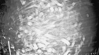 Weather camera view of Houston Country Club.