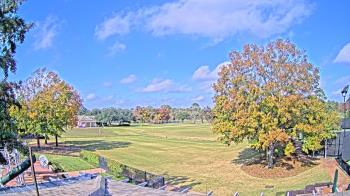 Weather camera view of Houston Country Club.