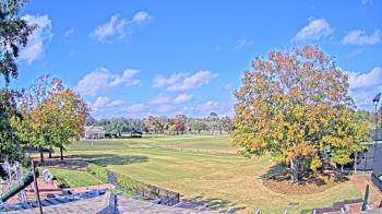 Weather camera view of Houston Country Club.