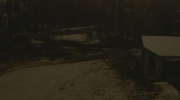 Weather camera view of Wildwood Park.