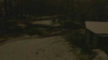 Weather camera view of Wildwood Park.