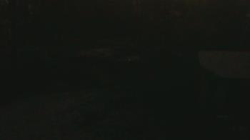 Weather camera view of Wildwood Park.