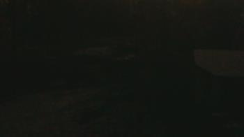 Weather camera view of Wildwood Park.