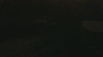 Weather camera view of Wildwood Park.