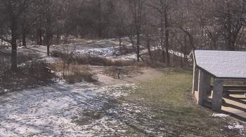 Weather camera view of Wildwood Park.