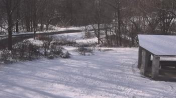 Weather camera view of Wildwood Park.