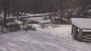 Weather camera view of Wildwood Park.