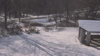Weather camera view of Wildwood Park.