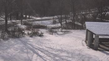Weather camera view of Wildwood Park.