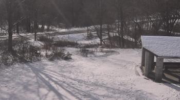 Weather camera view of Wildwood Park.