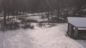 Weather camera view of Wildwood Park.