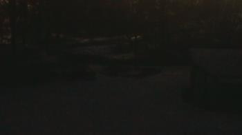 Weather camera view of Wildwood Park.