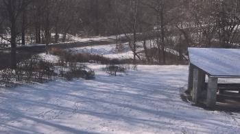 Weather camera view of Wildwood Park.