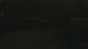 Weather camera view of Wildwood Park.