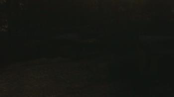 Weather camera view of Wildwood Park.