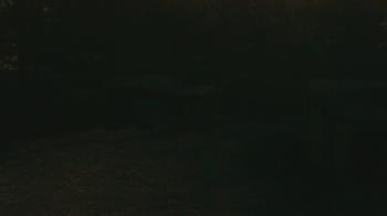 Weather camera view of Wildwood Park.