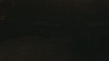 Weather camera view of Wildwood Park.