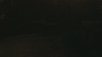 Weather camera view of Wildwood Park.