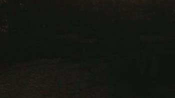 Weather camera view of Wildwood Park.