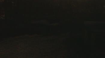 Weather camera view of Wildwood Park.