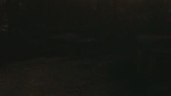 Weather camera view of Wildwood Park.