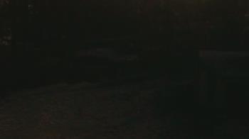 Weather camera view of Wildwood Park.