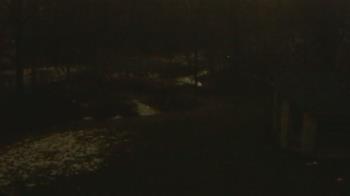 Weather camera view of Wildwood Park.