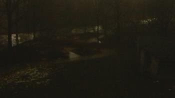 Weather camera view of Wildwood Park.