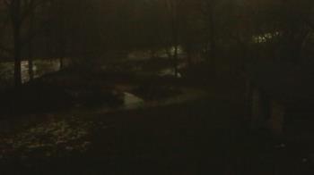 Weather camera view of Wildwood Park.