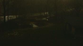 Weather camera view of Wildwood Park.