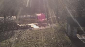 Weather camera view of Wildwood Park.