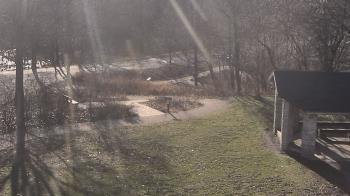 Weather camera view of Wildwood Park.
