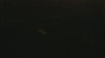 Weather camera view of Wildwood Park.