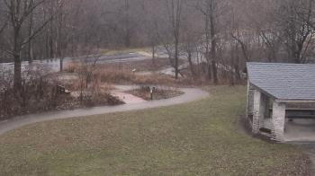 Weather camera view of Wildwood Park.