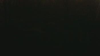 Weather camera view of Wildwood Park.