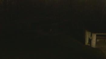 Weather camera view of Wildwood Park.