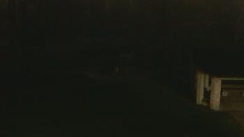 Weather camera view of Wildwood Park.