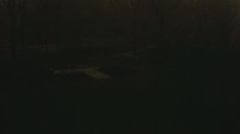 Weather camera view of Wildwood Park.