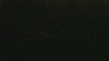 Weather camera view of Wildwood Park.