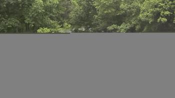 Weather camera view of Wildwood Park.