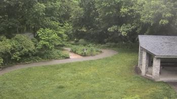 Weather camera view of Wildwood Park.