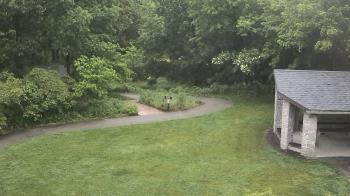 Weather camera view of Wildwood Park.