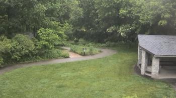 Weather camera view of Wildwood Park.