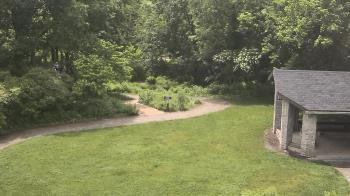 Weather camera view of Wildwood Park.