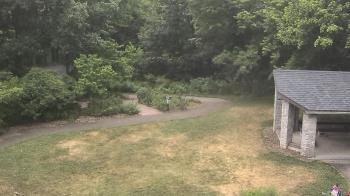 Weather camera view of Wildwood Park.