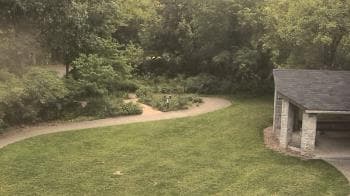 Weather camera view of Wildwood Park.