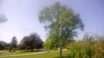 Weather camera view of Monroe Woodbury Computer Center.